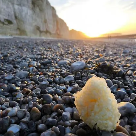 Apartment Le Precieux *